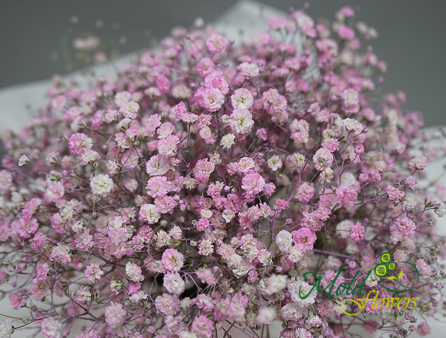Cutie cu gypsophila roz (la comanda, 10 zile) foto